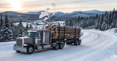 Devenir Chauffeur de camion grumier (Truck à bois) (Transport des billots vers la scierie) au Québec