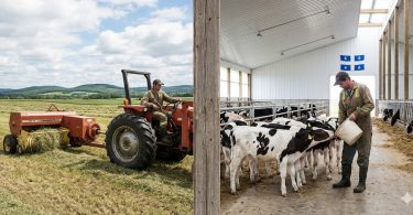 Devenir Ouvrier agricole (Général) (Travaux divers : champs animaux entretien) au Québec