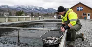 Devenir Ouvrier aquacole (Élevage de poissons en pisciculture) au Québec